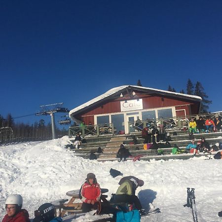 1125 Fjaellstugan Lofsdalen Bagian luar foto