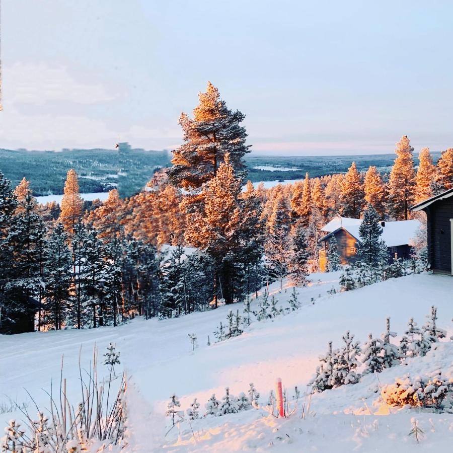 1125 Fjaellstugan Lofsdalen Bagian luar foto
