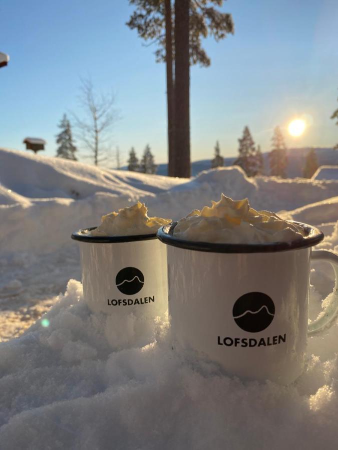 1125 Fjaellstugan Lofsdalen Bagian luar foto