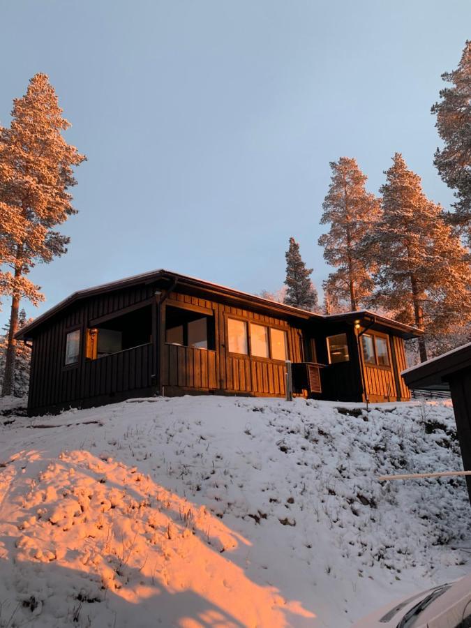 1125 Fjaellstugan Lofsdalen Bagian luar foto