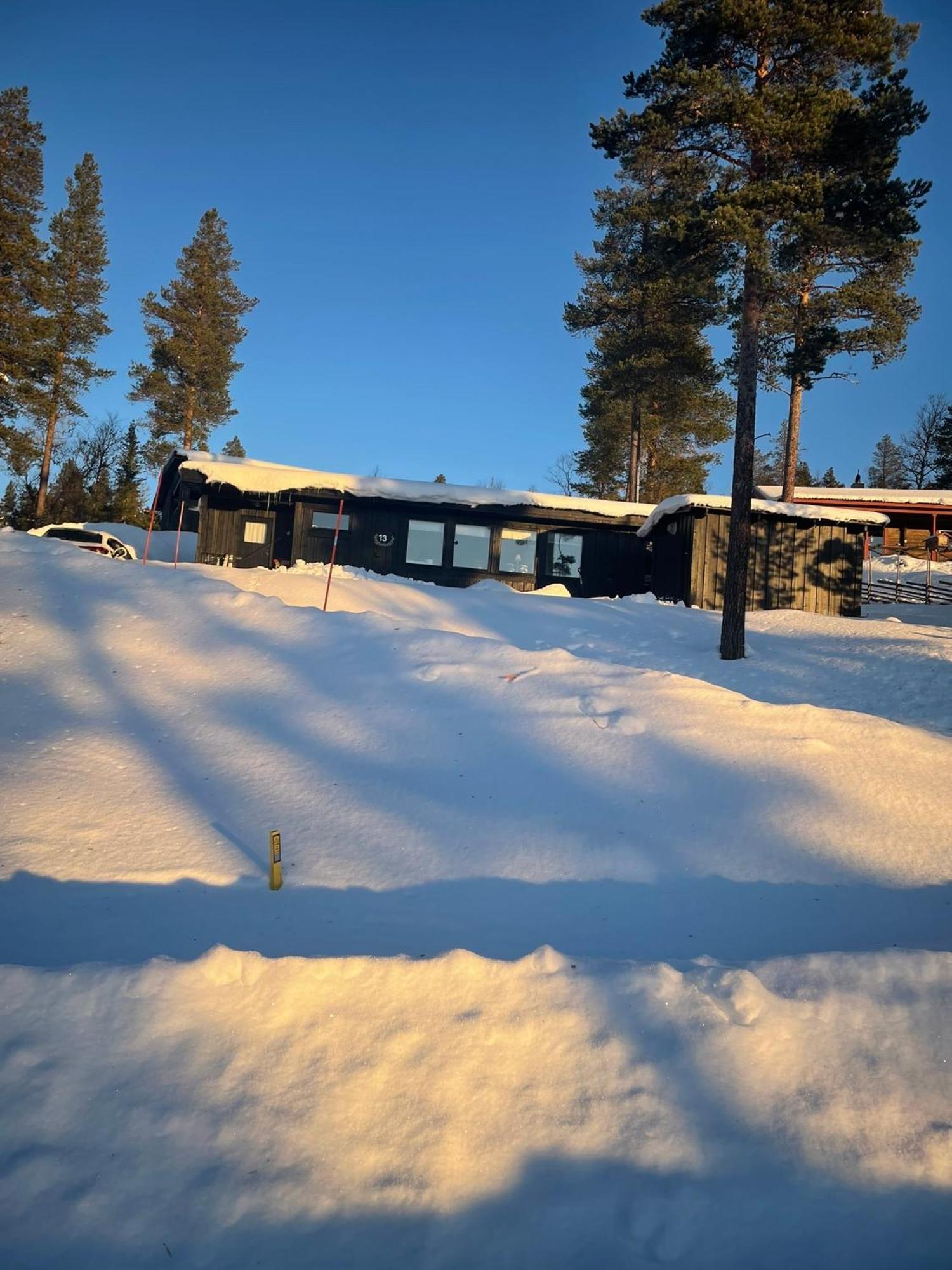 1125 Fjaellstugan Lofsdalen Bagian luar foto