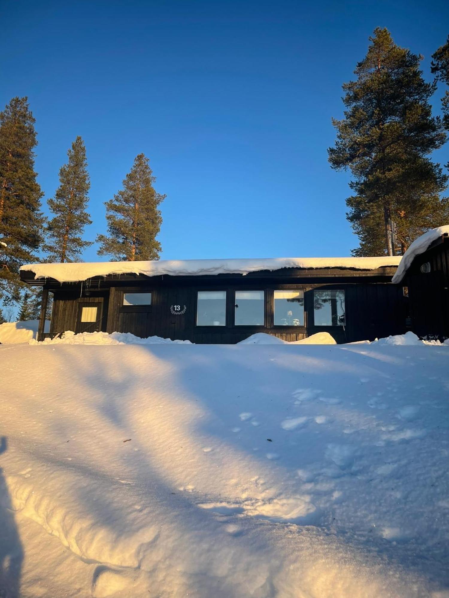 1125 Fjaellstugan Lofsdalen Bagian luar foto