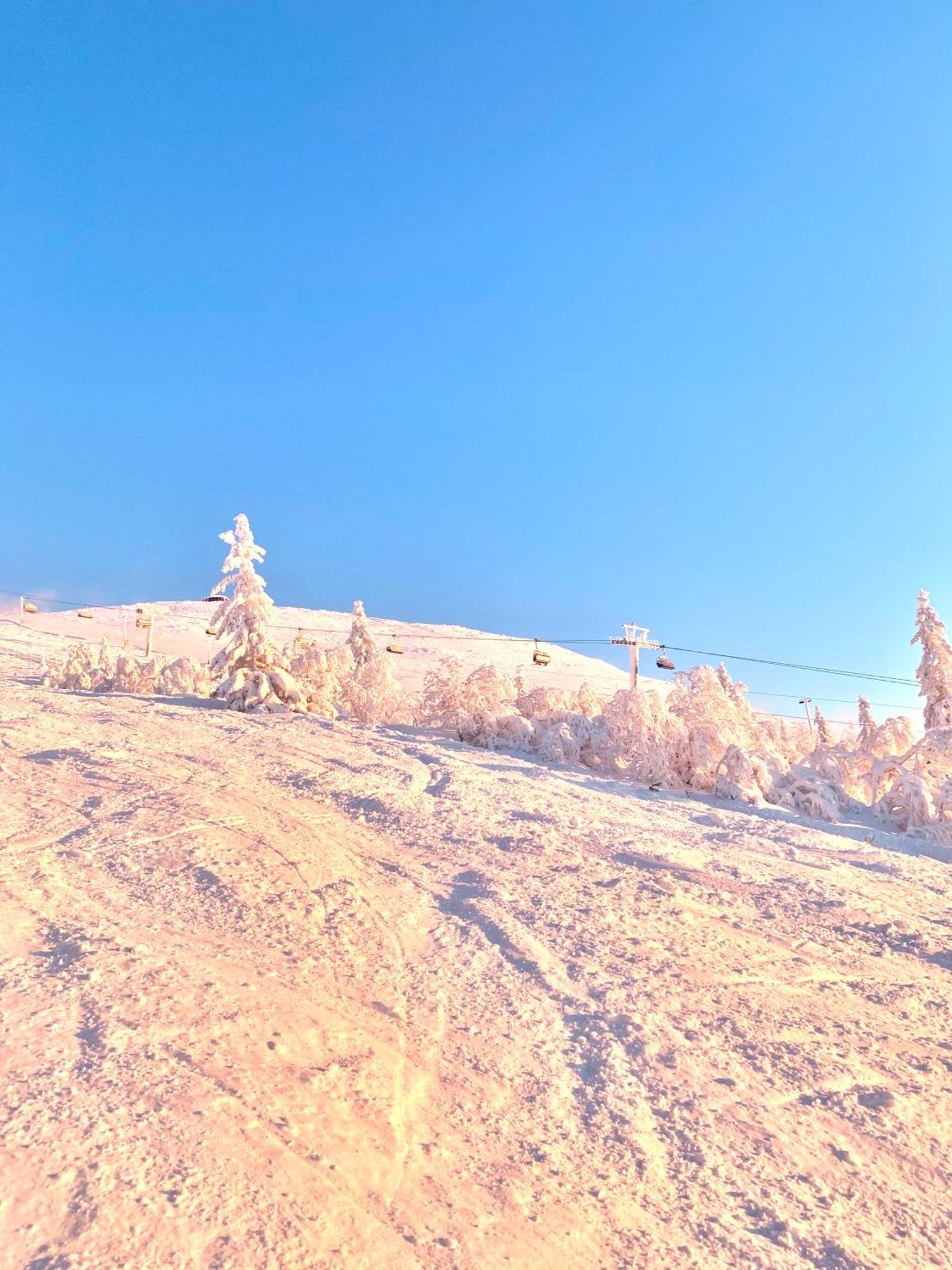 1125 Fjaellstugan Lofsdalen Bagian luar foto