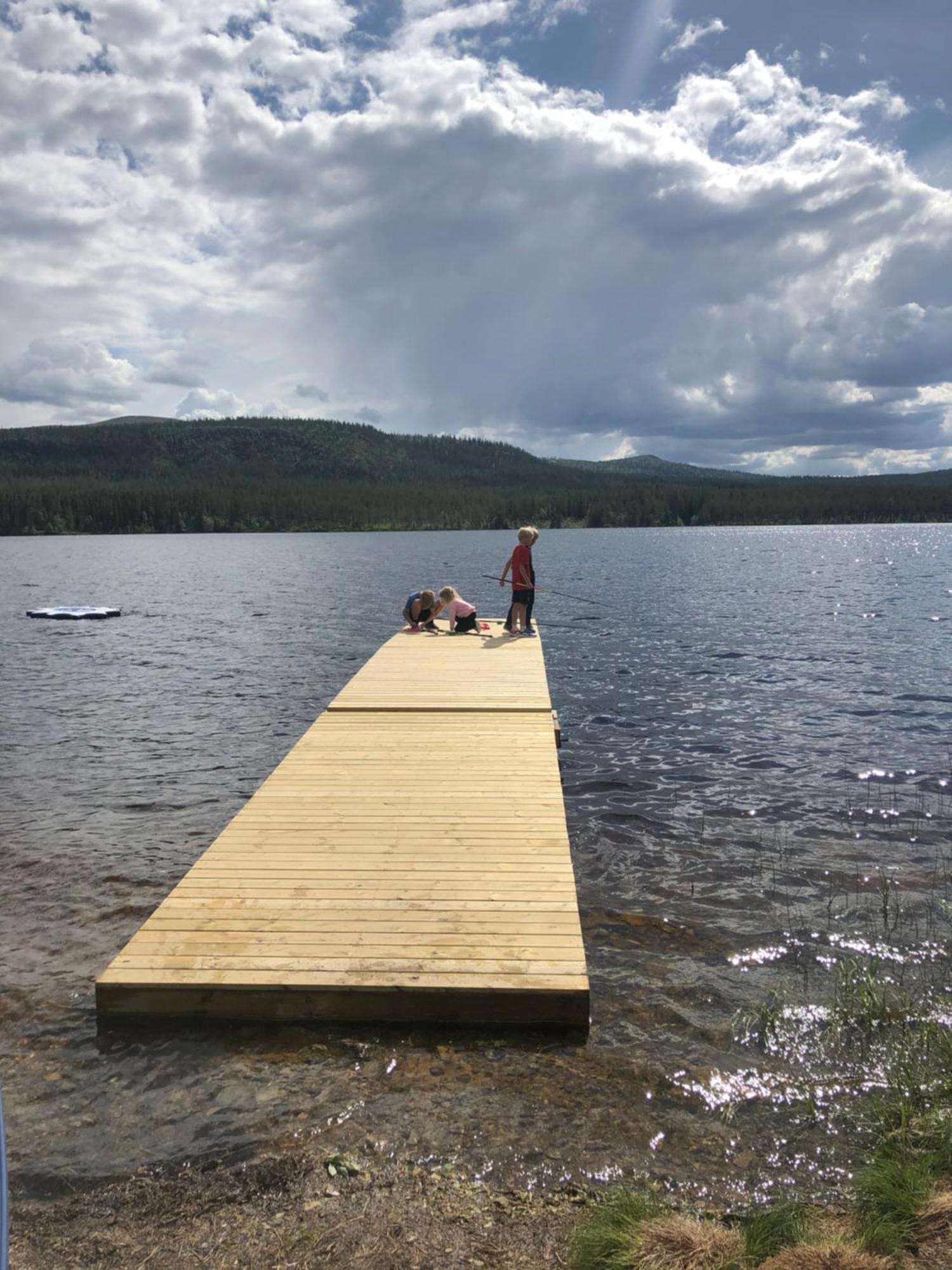 1125 Fjaellstugan Lofsdalen Bagian luar foto